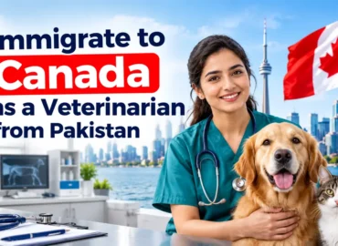 Immigrate to Canada as a veterinarian